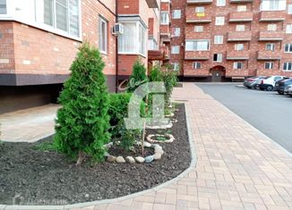 Продажа квартиры студии, 23.7 м2, аул Новая Адыгея, ЖК Мега