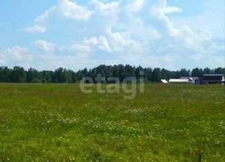 Продам участок, 13.18 сот., деревня Коркино