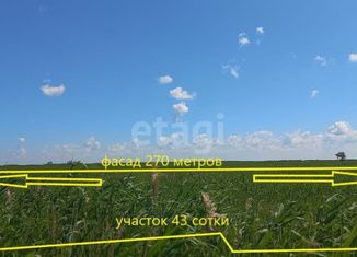 Продажа участка, 43.34 сот., станица Голубицкая