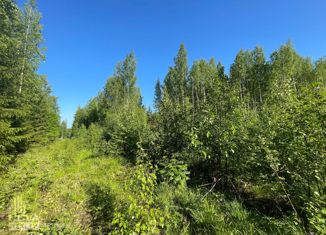 Земельный участок на продажу, 25 сот., СНТ Ветеран-1