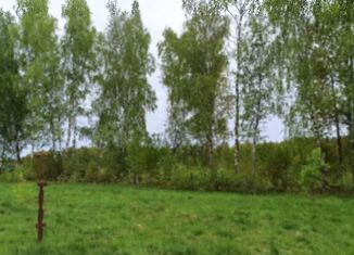 Продажа участка, 15 сот., деревня Лихун, Молодёжная улица