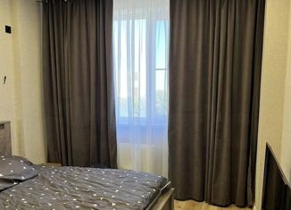 Двухкомнатная квартира на продажу, 55.2 м2, Ставрополь, улица Чапаева, 4/1Д, микрорайон Чапаевка