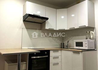 Продажа квартиры студии, 23.8 м2, поселок Бугры, Новая улица, 7