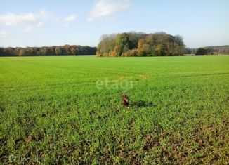 Продается участок, 36804 сот., деревня Горневская Слобода, Просторная улица