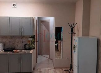 Квартира в аренду студия, 30 м2, Новосибирск, улица Лескова, 25, улица Лескова