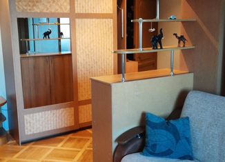 Продается двухкомнатная квартира, 46.5 м2, Санкт-Петербург, набережная реки Оккервиль, 6, набережная реки Оккервиль