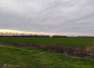 Продается земельный участок, 200 сот., станица Старокорсунская, Красная улица