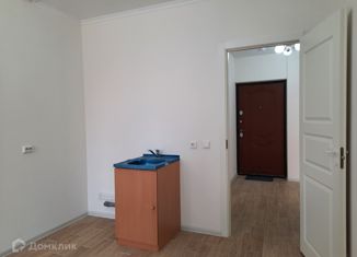 Продаю квартиру студию, 31.2 м2, Санкт-Петербург, улица Кустодиева, 5к1, метро Проспект Просвещения