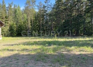 Продаю земельный участок, 20 сот., деревня Хоругвино, деревня Хоругвино, 12Б