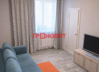 Продается 1-ком. квартира, 30.6 м2, Новосибирск, Мочищенское шоссе, 4, Мочищенское шоссе