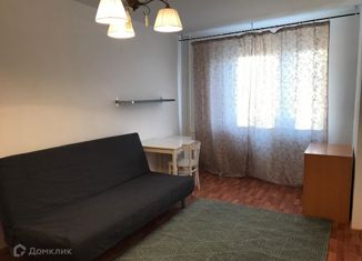 Сдается однокомнатная квартира, 41 м2, Санкт-Петербург, улица Михаила Дудина, 25к2, улица Михаила Дудина