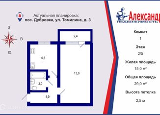 Однокомнатная квартира на продажу, 29 м2, поселок городского типа Дубровка, улица Томилина, 3