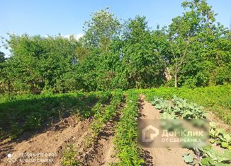 Продается земельный участок, 10 сот., село Бурашево