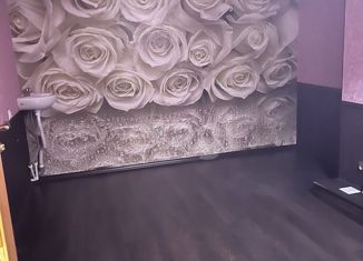 Продам однокомнатную квартиру, 21.9 м2, Ишим, Аникинская улица, 3