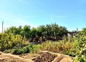 Продажа дома, 70 м2, садовые участки Домостроитель, Васильковая улица