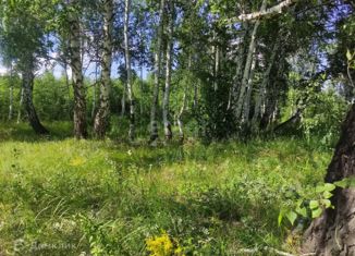 Продаю земельный участок, 10 сот., деревня Шимаковка