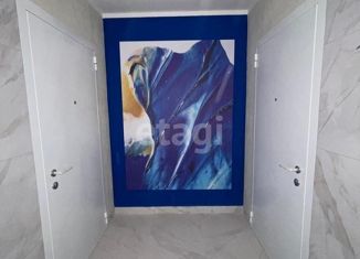 Продается квартира студия, 30 м2, деревня Дербыши, Академическая улица, 4