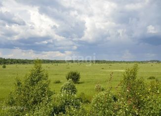 Продается участок, 250 сот., деревня Красная Горка, Дорожная улица