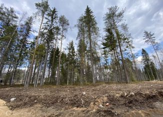 Продается земельный участок, 10 сот., дачное некоммерческое партнерство История парк, Орловская улица