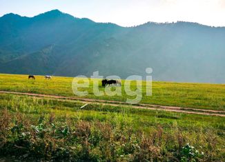 Продажа участка, 314 сот., село Куюс, Центральная улица