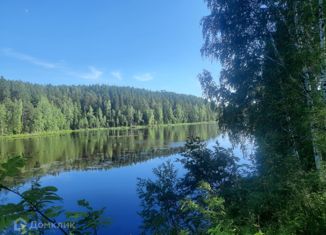 Продажа дома, 60 м2, село Малая Лая, улица Космонавтов