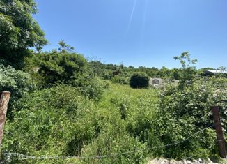 Продажа земельного участка, 4 сот., СНТ Парус, 3 квартал, 244