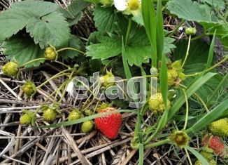 Продажа земельного участка, 4 сот., Миасс, проспект Макеева, 6