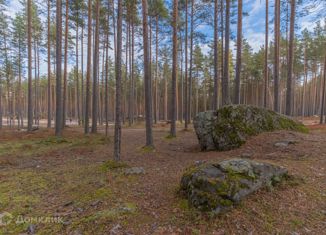 Продается участок, 25 сот., Петровское сельское поселение