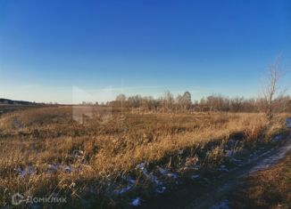 Продаю земельный участок, 10 сот., село Салаирка