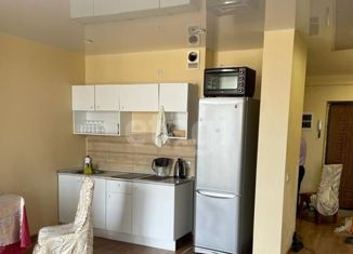 Сдам в аренду квартиру студию, 42 м2, Омск, улица Крупской, 13/4, ЖК Кузьминки