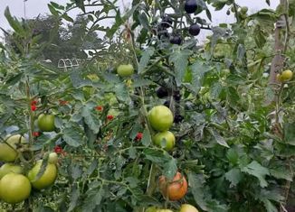 Продажа дома, 55.4 м2, рабочий посёлок Жатай, Озёрная улица, 5
