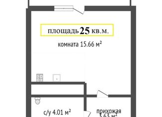 Продаю квартиру студию, 25 м2, Санкт-Петербург, улица Типанова, 21, улица Типанова