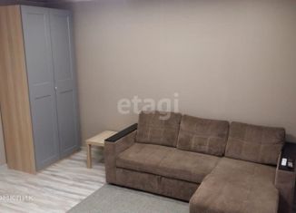 Сдам в аренду однокомнатную квартиру, 36 м2, посёлок Элитный, Венская улица, 18