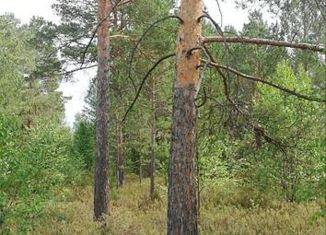 Продажа участка, 10 сот., СНТ Здоровье-2