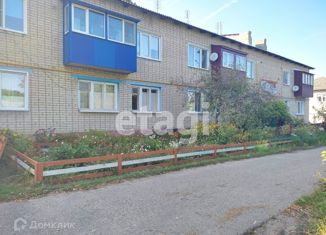 Двухкомнатная квартира на продажу, 46.9 м2, село Весёлое, Молодёжная улица, 1