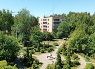 Двухкомнатная квартира на продажу, 40 м2, поселок Менжинец, Дружная улица, 1Ак2