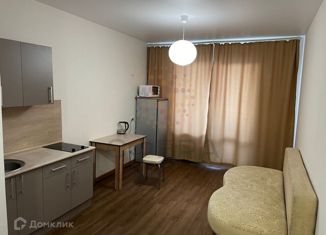 Сдаю 1-ком. квартиру, 29 м2, Новосибирск, улица Ясный Берег, 25, ЖК Ясный Берег