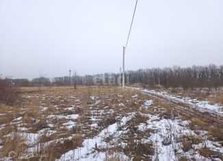 Продам земельный участок, 15 сот., село Беломестное, Центральная улица