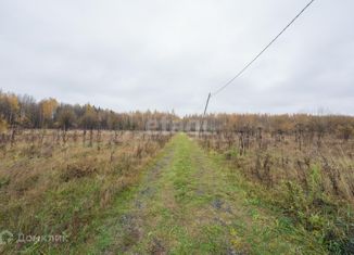 Продается земельный участок, 10 сот., деревня Большакино