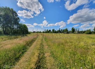 Продажа участка, 25 сот., деревня Турыгино