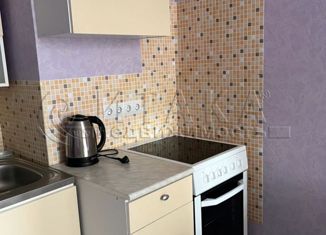 Квартира в аренду студия, 25 м2, Мурино, Привокзальная площадь, 5Ак6, ЖК Мечта