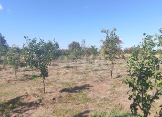 Продажа земельного участка, 12 сот., село Митяево, Спортивная улица