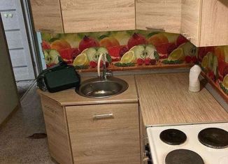 Продажа двухкомнатной квартиры, 48 м2, Екатеринбург, улица Белинского, 149, метро Чкаловская