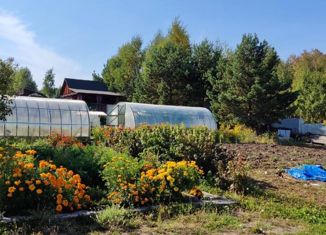 Продам дом, 24 м2, СНТ Весёлое, Берёзовая улица, 7