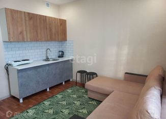 Аренда квартиры студии, 20.5 м2, Новосибирск, Берёзовая улица, 15, Березовая улица