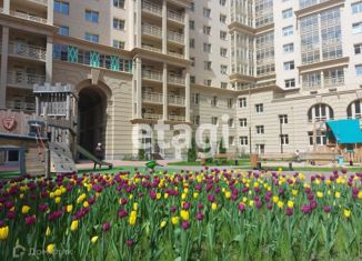 Продается квартира студия, 26 м2, Санкт-Петербург, Глухарская улица, 16к2, Глухарская улица