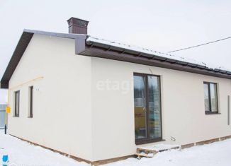 Продаю дом, 85 м2, деревня Чижовка