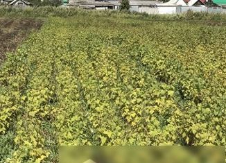 Продается земельный участок, 10 сот., село Суходол