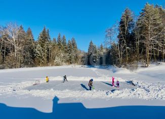 Продажа дома, 45 м2, деревня Съяново-2