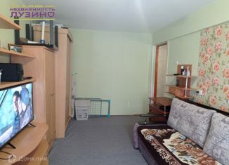 1-комнатная квартира на продажу, 30.4 м2, село Лузино, Комсомольская улица, 7